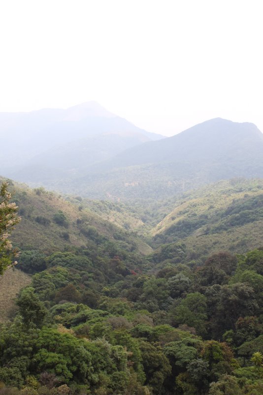 India 2010 - Coorg - Honey Valley - Trek towards Tadiandamol - Homestay to Waterfall